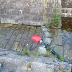 03.01.2014 547 SMOK SSAWNY PŁYWAJĄCY GEPLO