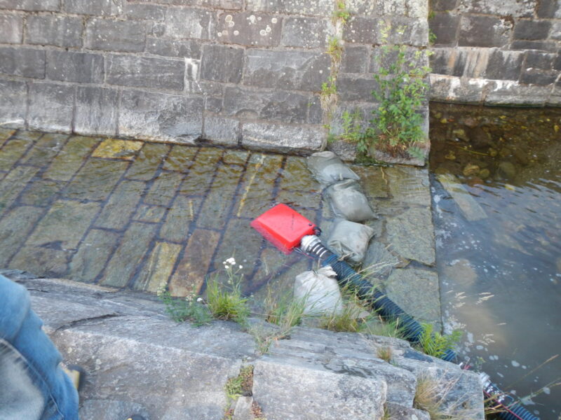 03.01.2014 547 SMOK SSAWNY PŁYWAJĄCY GEPLO