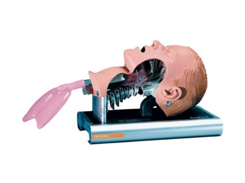 Głowa-do-nauki-intubacji-Ambu-Airway-Management-Trainer Fantom głowy do nauki intubacji Ambu Airway Management Trainer