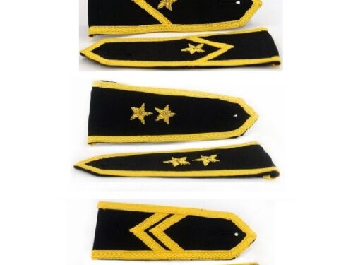 Pagony do koszuli/munduru PSP bajorek