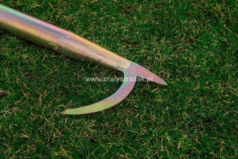 Grot bosaka lekkiego