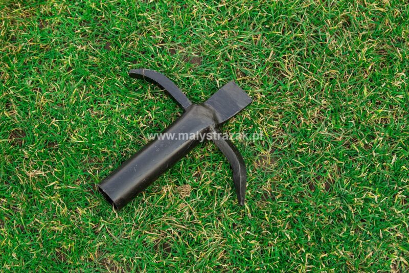 Grot bosaka sufitowego