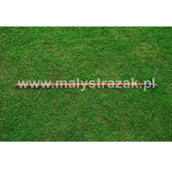 Bosak sufitowy ze stylem drewnianym