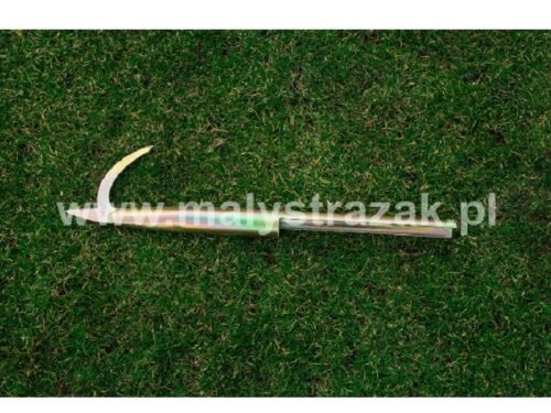 Grot bosaka lekkiego